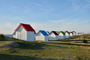 Traitement Punaises de Lit Morsang-sur-Orge